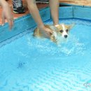 굿프랜드 이미지