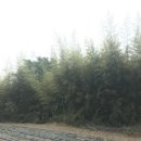 사봉면-3 이미지