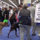 서초중앙로8길 89-2 이미지