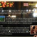 강릉커피박물관 이미지