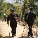 낭성칼국수 이미지