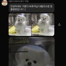 소원동물병원 이미지