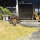 포토갤러리자연사랑미술관 이미지