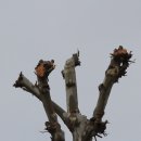 비산3동 행정복지센터 이미지