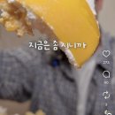 망고당 | 대전 성심당 방문 후기 🍞 임산부 프리패스 + 망고시루 사온 당일치기 여행