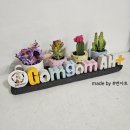 곰곰동물병원 이미지