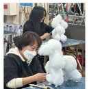 HS빌딩 | 꾸준한 실습으로 인한 실력 변화 인천애견미용학원 HS평생교육원 후기