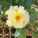 재경농장 이미지