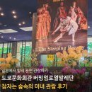 세븐일레븐부천문화회관점 | 도쿄문화회관 버밍엄로열발레단 잠자는 숲속의 미녀 관람 후기