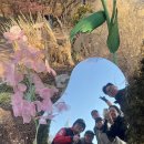 남산막국수 이미지