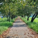 생극파크골프장 이미지