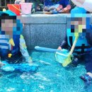 정량천 생태하천 이미지