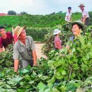 광암농장 이미지