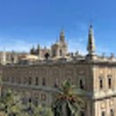 탑호스텔 이미지