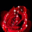 대신오토 이미지