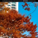 인천지하철1호선 지식정보단지역 이미지