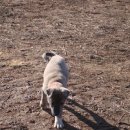 정영춘농장 이미지