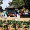 전승축산 이미지