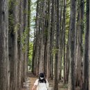 아가페 | 전주근교 아이랑 떠난 하루 — 익산 교도소세트장 &amp; 아가페정원 나들이 후기