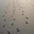 지원 행정사사무소 이미지