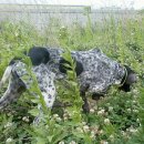 영포농장 이미지