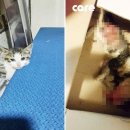 난향동-13 이미지