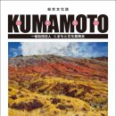 남구-096 이미지