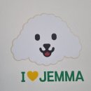 견생공방 | 강아지사진관 젬마스튜디오아트레이블 캠핑컨셉 증평스튜디오에서 강아지인생샷찍은 후기