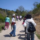 대산사슴농장 이미지