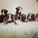 제일피드 이미지