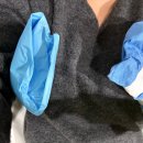 효자내과의원 | 임신(34주차) - 임산부 아바타3 관람 후기, 임산부 A형 독감