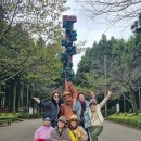 제주기사 | 제주도 카니발 투어 9인승 요금과 기사포함 제주 여행 후기