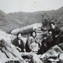 진상동 Daum카페