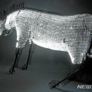 신호조명 이미지