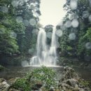 녹산농장 이미지