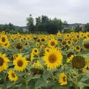 가야4리 이미지