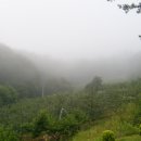 한티농장 이미지