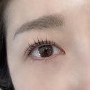 뷰티글로우 | [뷰티] 글로우헤나뷰티 글로우펌 후기 :: 분당 서현속눈썹펌, 속눈썹연장 잘하는 곳