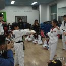 천생태권도 이미지