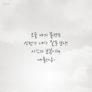 도서출판 다움(Daum)