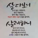 소중한지금 이미지