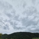 공원마트 | 태백산 국립공원 소도 야영장 사이트 시설 후기입니다