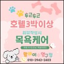 부산애견호텔 강아지유치원 애견미용 맘바이 수영구점 이미지