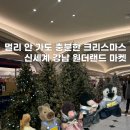 주식회사 자연과사람들 3호 | 강남 핫플 놀거리 신세계 원더랜드 크리스마스 마켓 후기