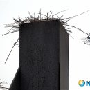 까치공원 조형물 이미지