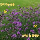 도로끝 이미지