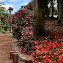 동백4로 이미지