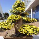 광주광역시청 B 이미지