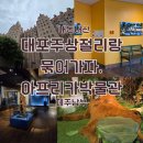 아프리카박물관 | 볼게 없는 것 같으면서 볼게 많은 아이랑 비오는날 제주 여행 남부 대포주상절리 바로 옆 아프리카 박물관