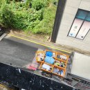 세상사는이야기 | [후기] 천안 이사 고민 끝! 믿고 맡긴 ‘천안 낭만이사’ 생생 이용 후기